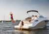 Sea Ray 265 DAE 2021 udlejning 