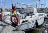 Oceanis 35.1 2021 udlejning 